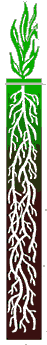 rootart.gif