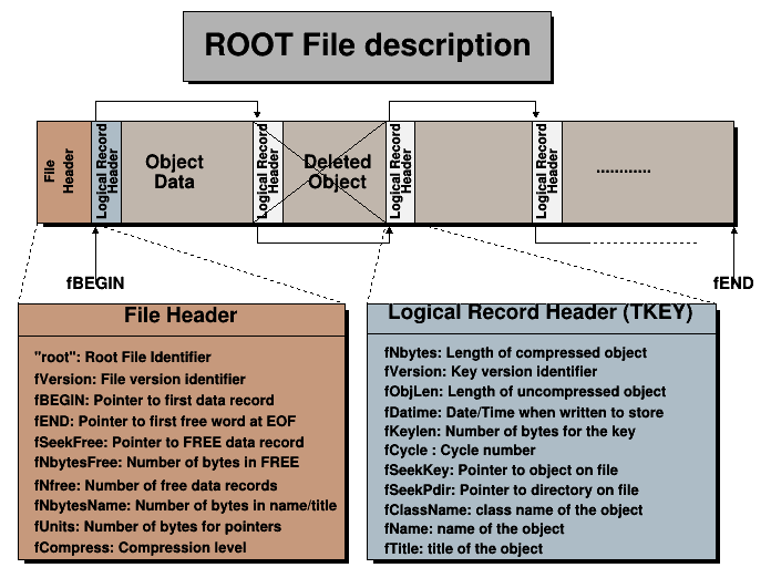 TFile_001.png