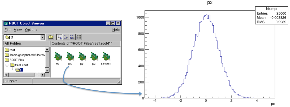 The tree1.root file and its tree in the browser and a leaf histogram